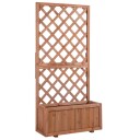 Blomsterkasse i tre med espalier for klatreplanter