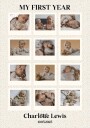 Baby"s First Year Personal Plakat Plakat / 70x100cm