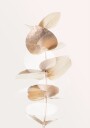 Golden Eucalyptus Branch Plakat / 70x100