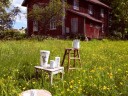 Wik & Walsøe  Alveskog tekopp 40 cl