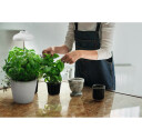 LEDVANCE Indoor Garden Umbrella 200 USB WT