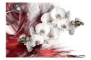 Fototapet Orchid In Red 100x70 - Artgeist sp. z o. o.