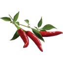 Click and Grow Smart Garden Refill 3-pack Chili Pepper SGR6X3