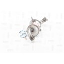 Katalysator NAP carparts CAK10499