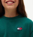 Tommy Hilfiger T skjorte   Landlig Green   Tommy Hilfiger   6 år (116)   T skjorte   Grønn