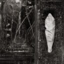 Wolves In The Throne Room Estuary Limited Edition Vinyl
