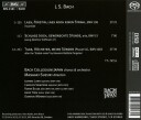 Carolyn Sampson Masaaki Suzuki  Secular Cantatas: J.s. Bach  Trauerode 6  CD
