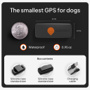 Weenect Gps-Tracker Xs For Hunder Uten Halsbånd Svart Med Universelt Deksel