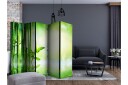 Romdeler - Bamboo Grove II 225x172 - Artgeist sp. z o. o.