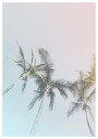 Pastel Palms Bliss Plakat Plakat / 30x40cm