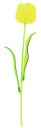 Europalms Crystal Tulip, Yellow 61cm 12x
