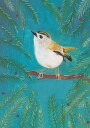 Goldcrest bird sitting in a tree Plakat Plakat / 50x70cm