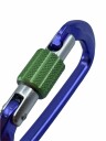 Wild Country Session screw gate purple