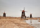 Old Windmills in the Countryside Plakat Plakat / 50x70cm