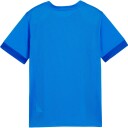 PUMA teamGOAL Matchday Trenings T-skjorte Barn Blå 164
