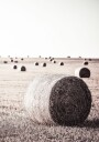 Rustic Hay Bale Plakat Plakat / 70x100cm