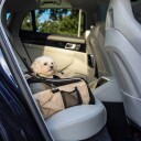 Beige Stort 2-I-1 Bilsete Og Bærebag Til Hund