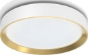 Philips Hanno taklamper 24W 2700 Kelvin - 3-steg dim - Hvit