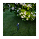 Star Trading Hage-spotlight. 30cm. Max 30W 1604742-01-0 1690620-01-0
