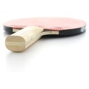 Racket Sport 100