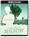 Brick 2005
