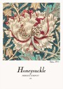 Honeysuckle Plakat / 30x40cm