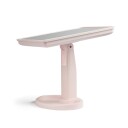 Gillian Jones   Hollywood speil med Touch LED lys og USB C Rosa