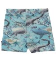 Molo ShortSimroy   Gamle Ocean   Molo   74   Shorts   Blå