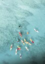 Surfers at Sea Plakat Plakat / 30x40cm