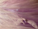 Rubies - Deluxe Dress - Lavender Princess (116 cm)