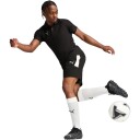 PUMA teamEVOSTRIPE Shorts Herre Svart S