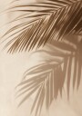 Palm Leaf Shadows Plakat Plakat / 50x70cm