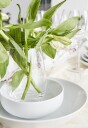 Aida Atelier super white soup plates 4 pcs 29084