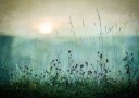 Autumn sunrise Plakat Plakat / 100x150cm