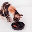 District70 Bamboo Cat Slow Feeder Ø 13.5Cm Dark Grey (Wa6961)