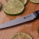 Zwilling Gourmet Skrellekniv 10 cm 1721409-01-0 1721495-01-0