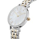 Daniel Wellington Petite Bezel DW00100665 - Dame - 28 mm - Analog - Kvarts urverk - Mineralglas