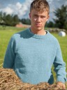 23-39f Gard genser dueblå