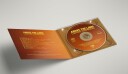 Ludivine Issambourg  Above The Laws  CD