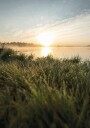 Dewy Dawn by the Lake Plakat Plakat / 50x70cm