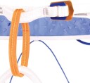 Blue Ice Addax