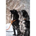 Varangersportslager Non Stop Retriever Leash 1.6 M 8 Mm