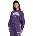 Adidas Jg Clgt Ft Swt Aurplu/White 164 Sweatshirts