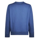 Polo Ralph Lauren Herre Gensere & Hettegensere Blå L,