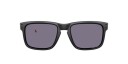 Oakley Holbrook Prizm grey OO9102-Z555