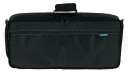 Boss GT-100 Bag