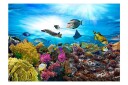 Fototapet Coral Reef 100x70 - Artgeist sp. z o. o.