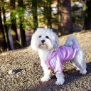 Rosa Adidog Hundegenser For Liten Hund