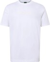 BOSS | Ts_Logo | 5XL