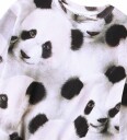 Molo Collegegenser   Monti   Giant Panda   Molo   5 år (110)   Collegegenser Grå Hvit Svart